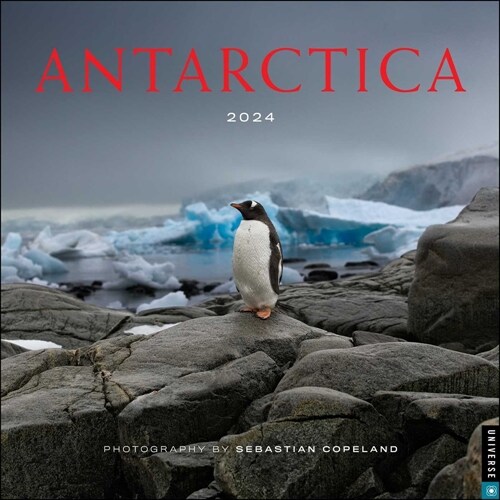Antarctica 2024 Wall Calendar (Wall)