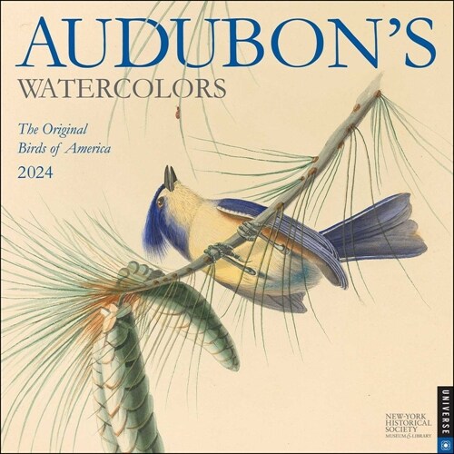 Audubons Watercolors 2024 Wall Calendar (Wall)