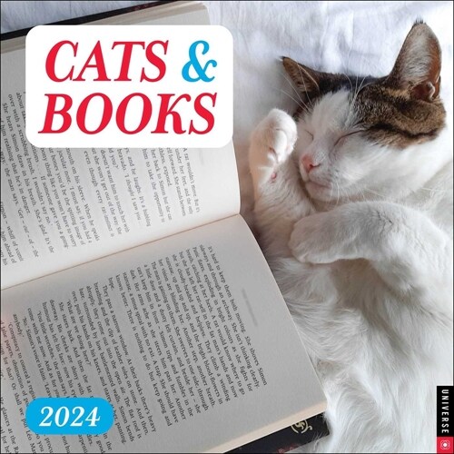 Cats & Books 2024 Wall Calendar (Wall)