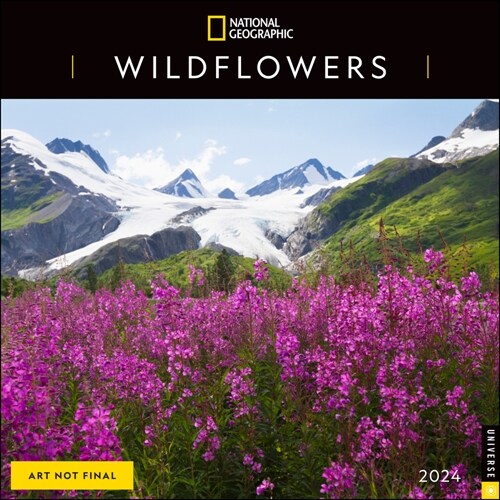 National Geographic: Wildflowers 2024 Wall Calendar (Wall)