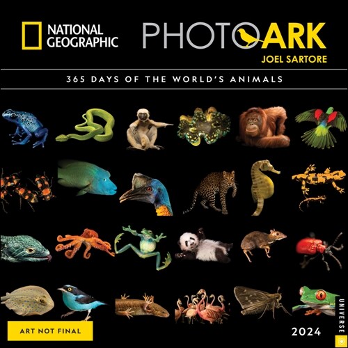 National Geographic: The Photo Ark 2024 Wall Calendar (Wall)