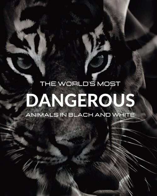 The Worlds most DANGEROUS ANIMALS in Black and White: Black-and-white photo album with 45 photographs and captions (Paperback)