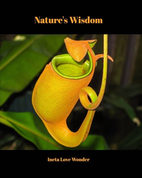 Natures Wisdom (Paperback)