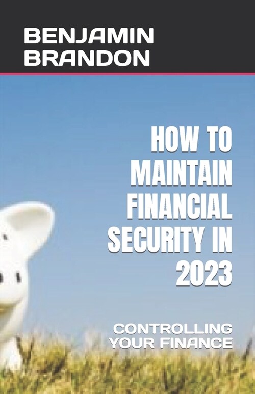 How to Maintain Financial Security in 2023: Controlling Your Finance (Paperback)