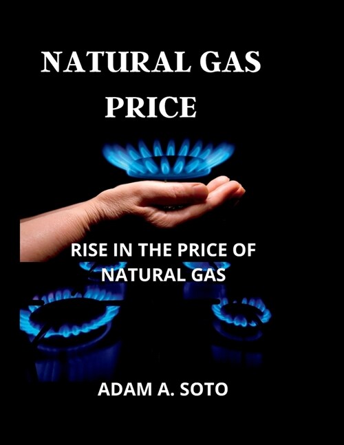 Natural Gas Price: Rise in the Price of Natural Gas (Paperback)