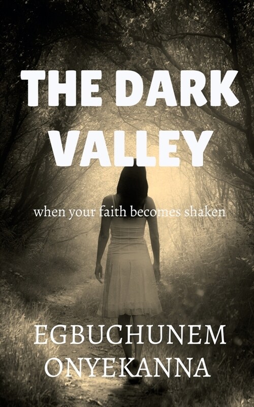 The Dark Valley (Paperback)