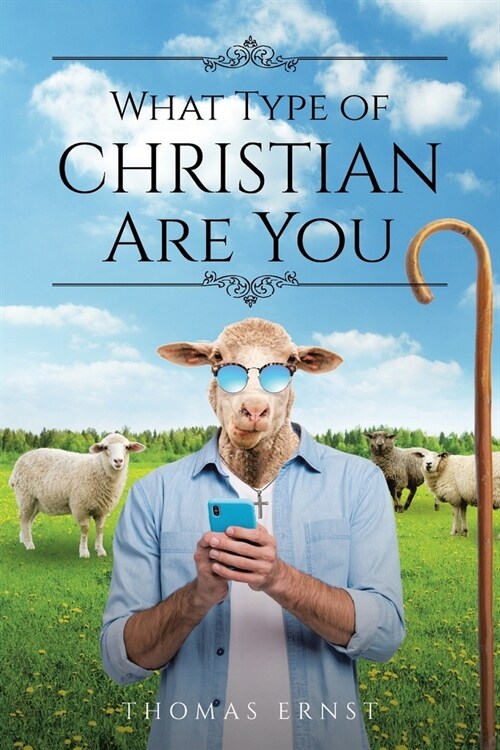 What Type of Christian Are You (Paperback)