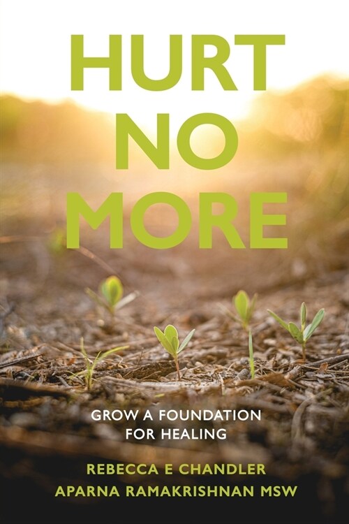 Hurt No More: Grow a Foundation for Healing (Paperback)