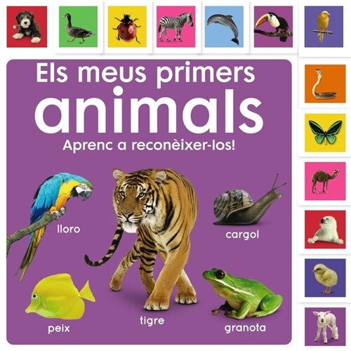 ELS MEUS PRIMERS ANIMALS APRENC A RECONEIXER-LOS (Book)