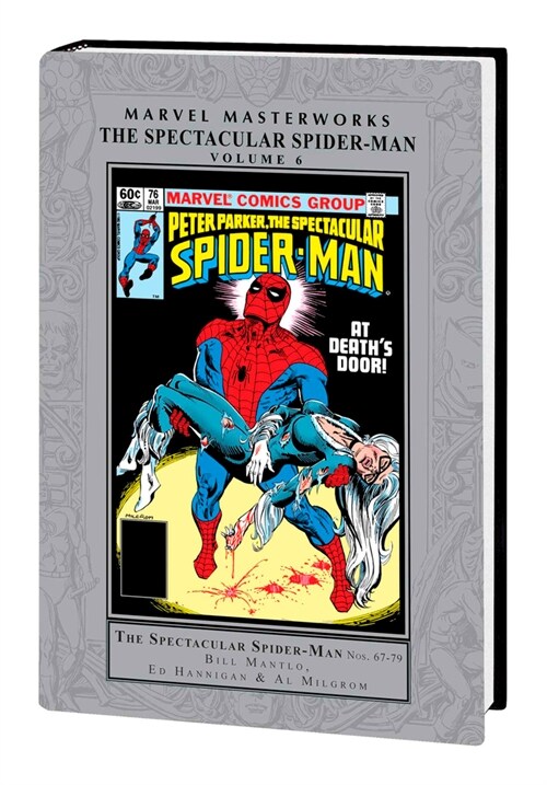 Marvel Masterworks: The Spectacular Spider-Man Vol. 6 (Hardcover)