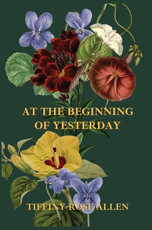 At The Beginning Of Yesterday (Hardcover)