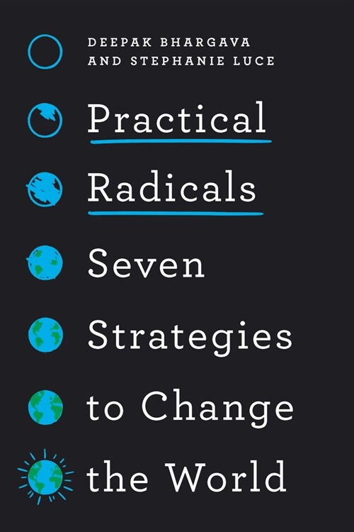 Practical Radicals : Seven Strategies to Change the World (Hardcover)