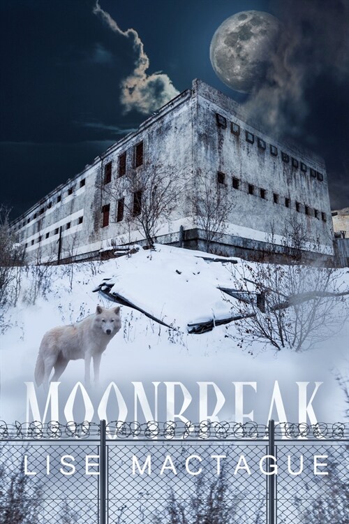 Moonbreak (Paperback)