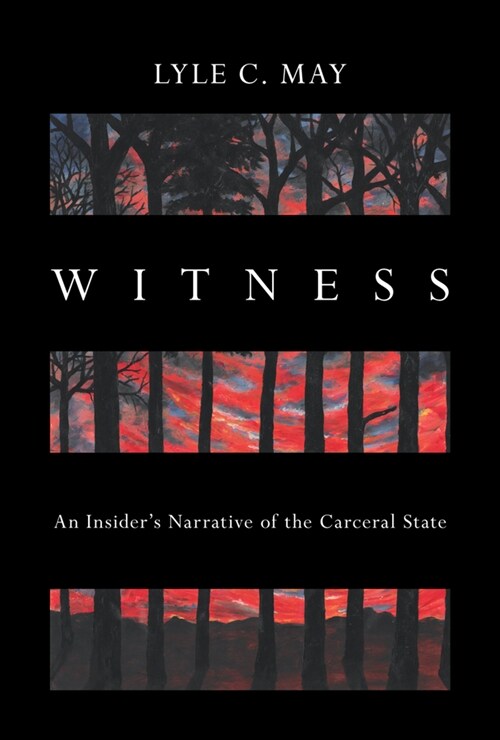 Witness: An Insiders Narrative of the Carceral State (Paperback)