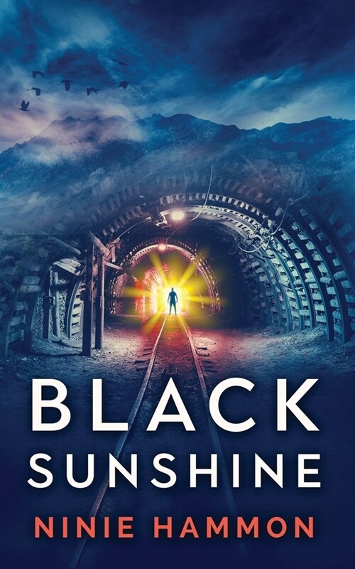 Black Sunshine (Paperback)