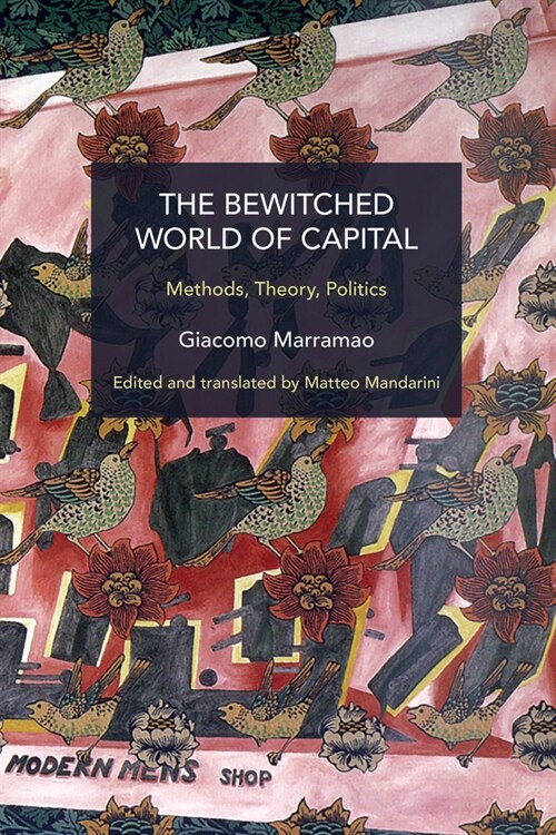 The Bewitched World of Capital: Economic Crisis and the Metamorphosis of the Political (Paperback)