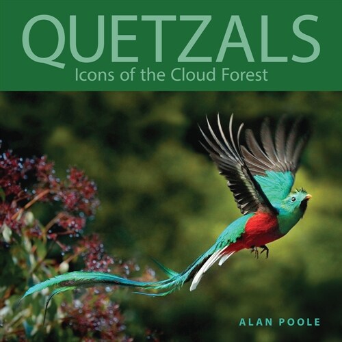 Quetzals: Icons of the Cloud Forest (Paperback)