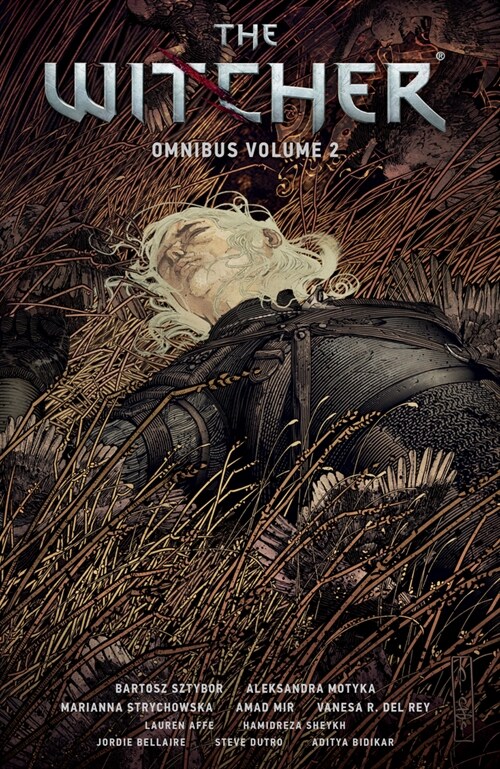 The Witcher Omnibus Volume 2 (Paperback)