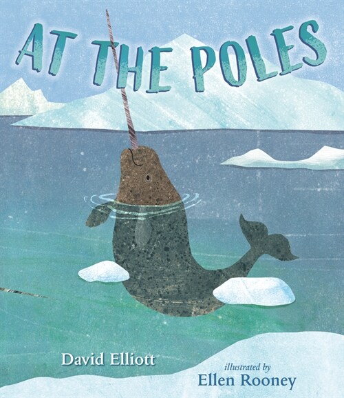 At the Poles (Hardcover)