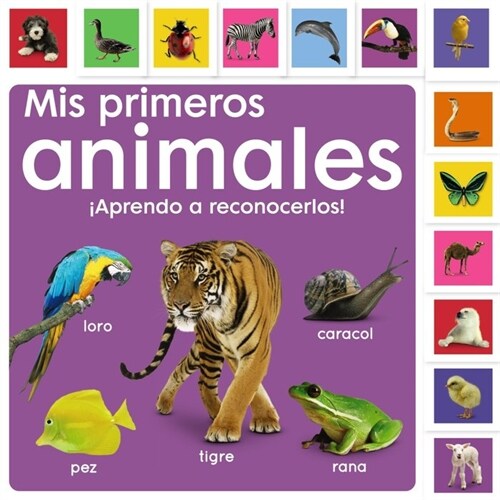 MIS PRIMEROS ANIMALES APRENDO A RECONOCERLOS (Hardcover)