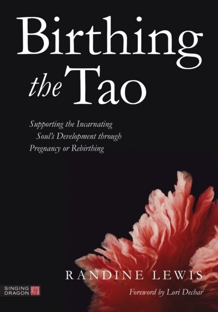 Birthing the Tao : Supporting the Incarnating Souls Development through Pregnancy or Rebirthing (Paperback)