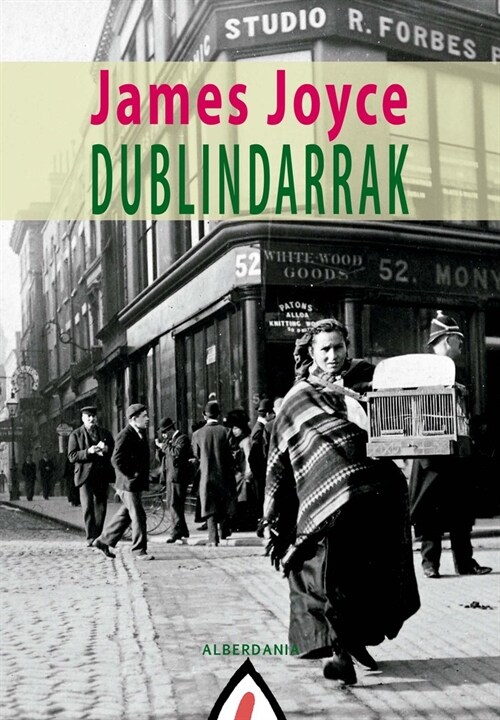 Dublindarrak (Paperback)