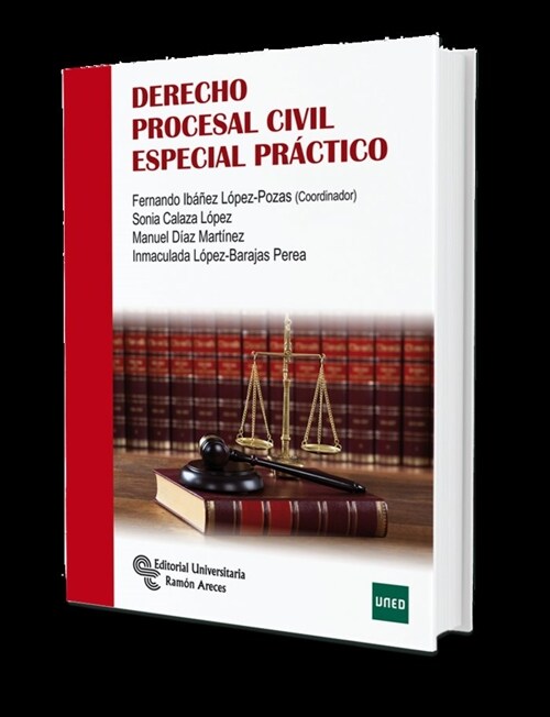 DERECHO PROCESAL CIVIL ESPECIAL PRACTICO (Paperback)