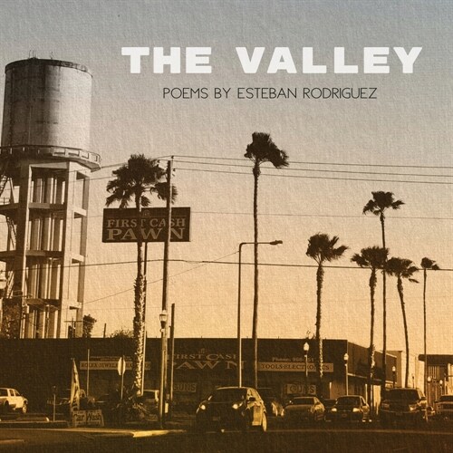 The Valley (Paperback)