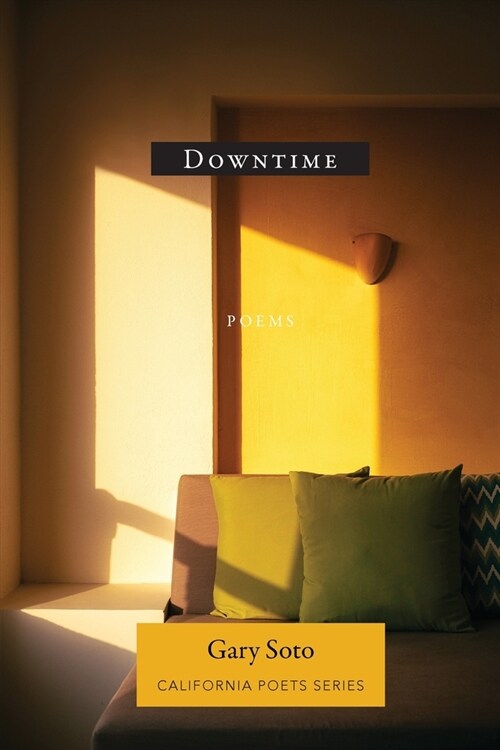 Downtime (Paperback)