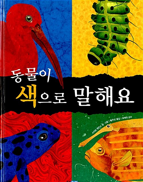 동물이 색으로 말해요