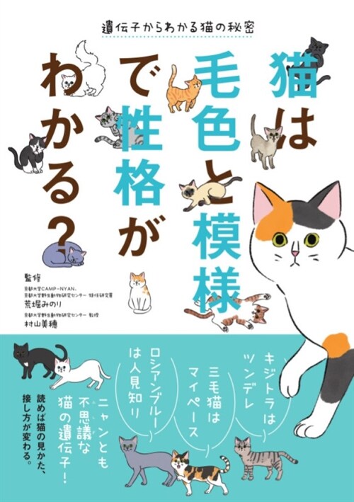 猫は毛色と模樣で性格がわかる？