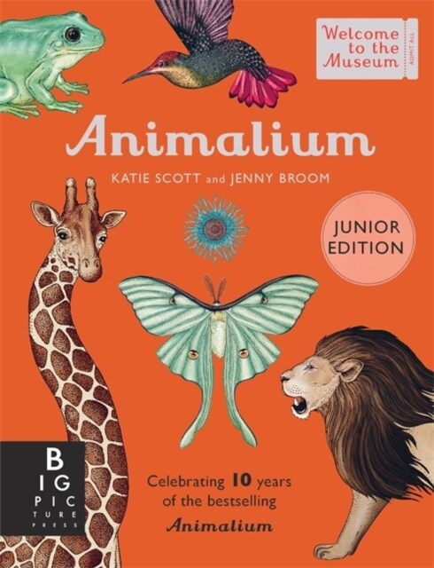 Animalium (Junior Edition) (Hardcover)