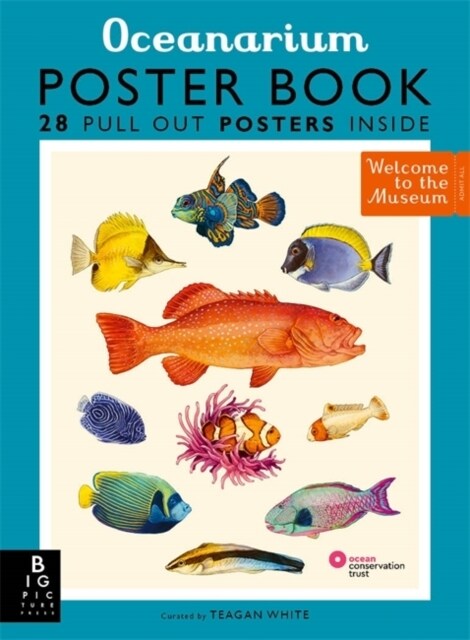Oceanarium Poster Book (Paperback)