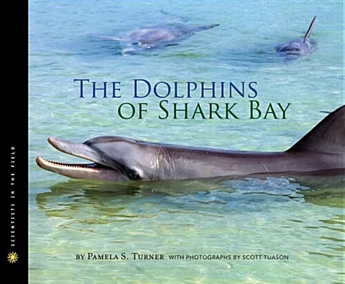 The Dolphins of Shark Bay (Hardcover)