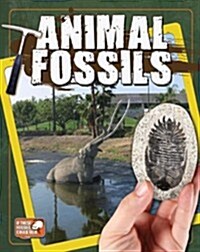 Animal Fossils (Paperback)