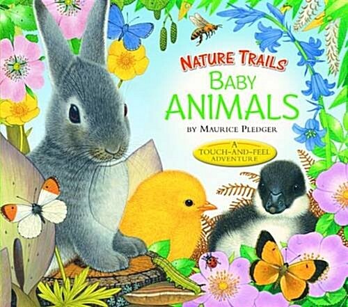 Nature Trails: Baby Animals (Hardcover)