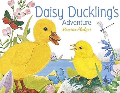 Daisy Ducklings Adventure (Hardcover)