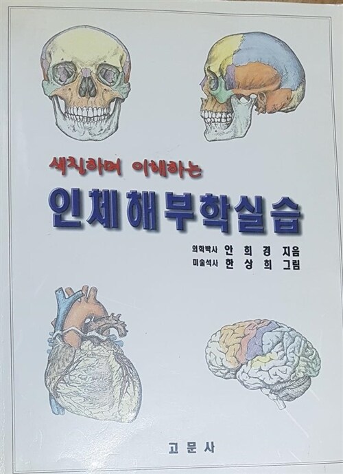 [중고] 인체해부학실습