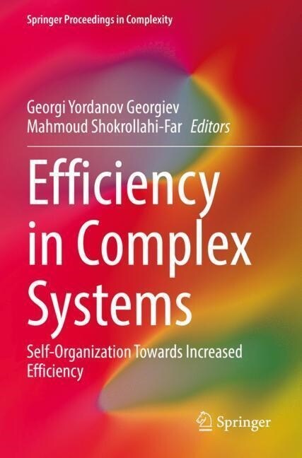 Efficiency in Complex Systems: Self-Organization Towards Increased Efficiency (Paperback, 2022)