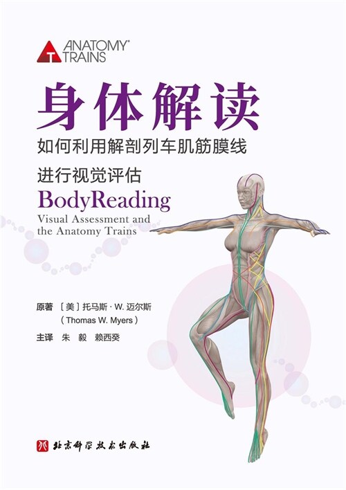 身體解讀:如何利用解剖列車肌筋膜線進行視覺評估