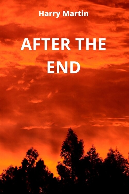 After the End (Paperback)