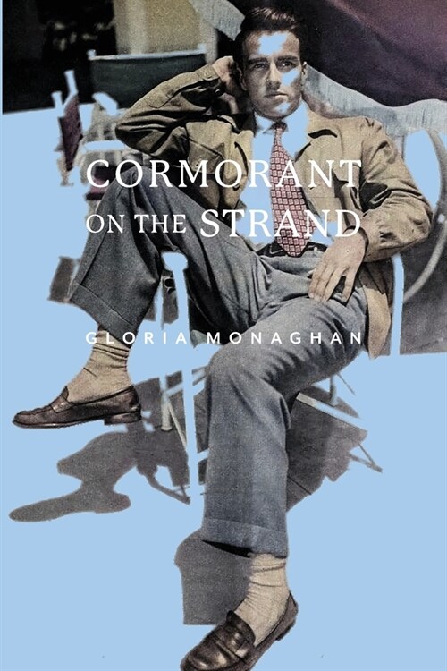 Cormorant on the Strand (Paperback)