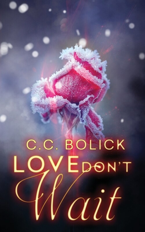 Love Dont Wait (Paperback)