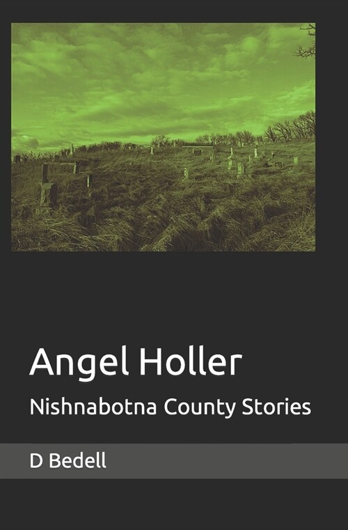 Angel Holler: Nishnabotna County Stories (Paperback)