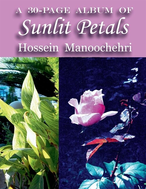 Sunlit Petals: A 30-Page Album of- (Paperback)