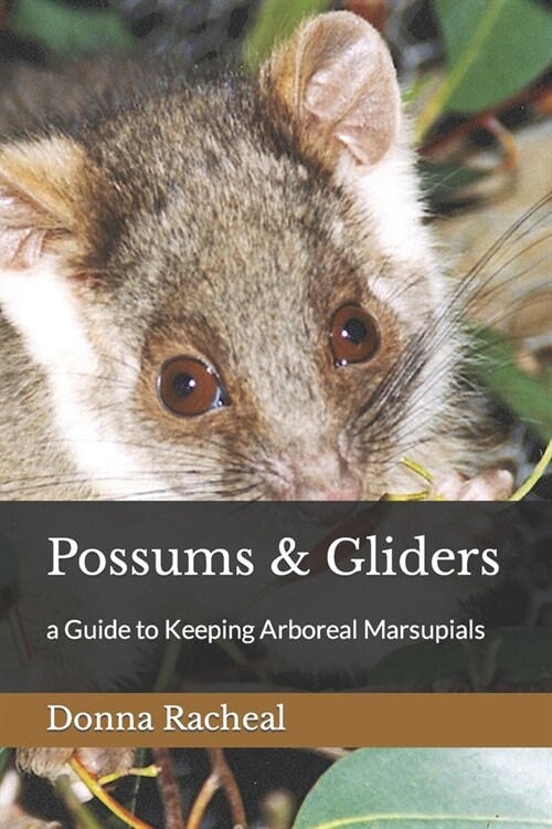Possums & Gliders: a Guide to Keeping Arboreal Marsupials (Paperback)