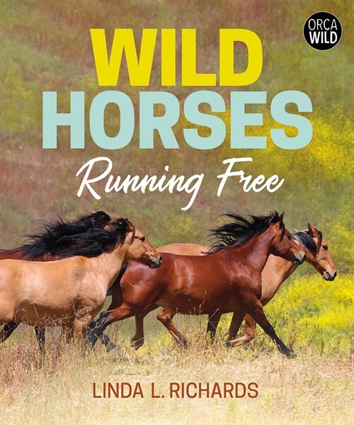 Wild Horses: Running Free (Hardcover)