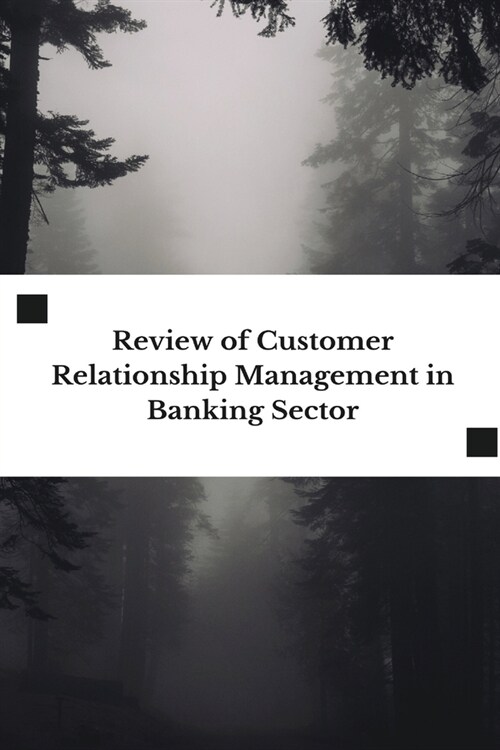 Review of Customer Relationship Management in Banking Sector (Paperback)