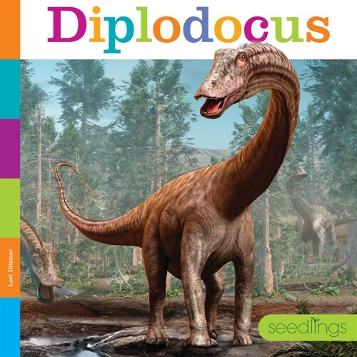 Diplodocus (Paperback)