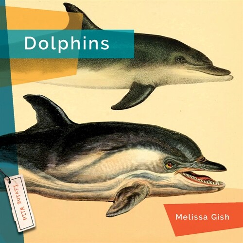 Dolphins (Paperback)